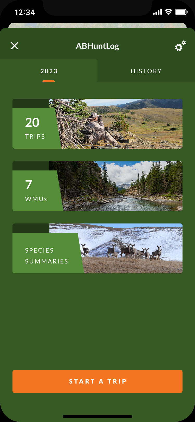 Click on Ribbons to view summaries