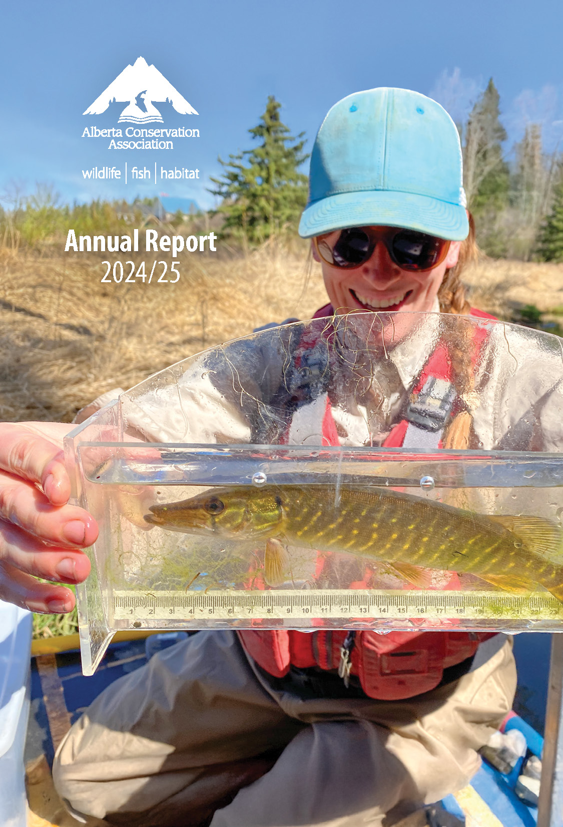 Cover of Annual Report 2024/25 - Young Northern Pike length being measured