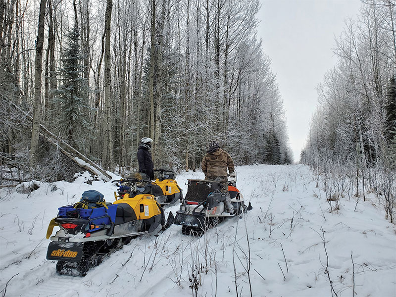 Biologist stand on snowmobiles looking for martens