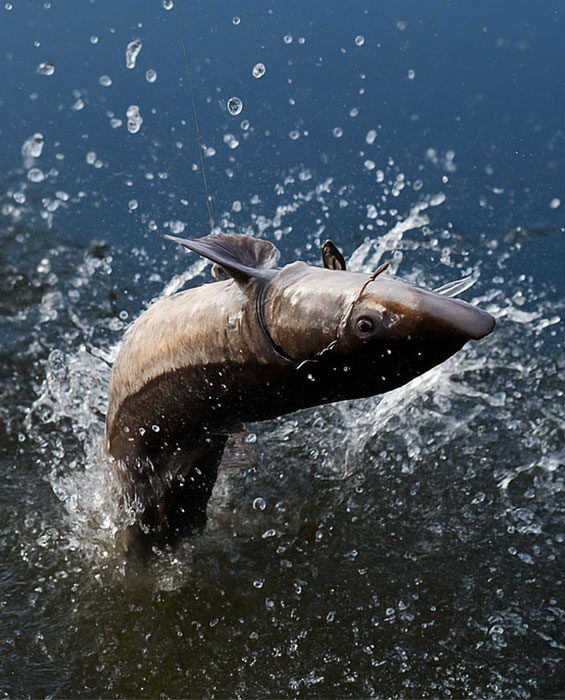 Fishing Package