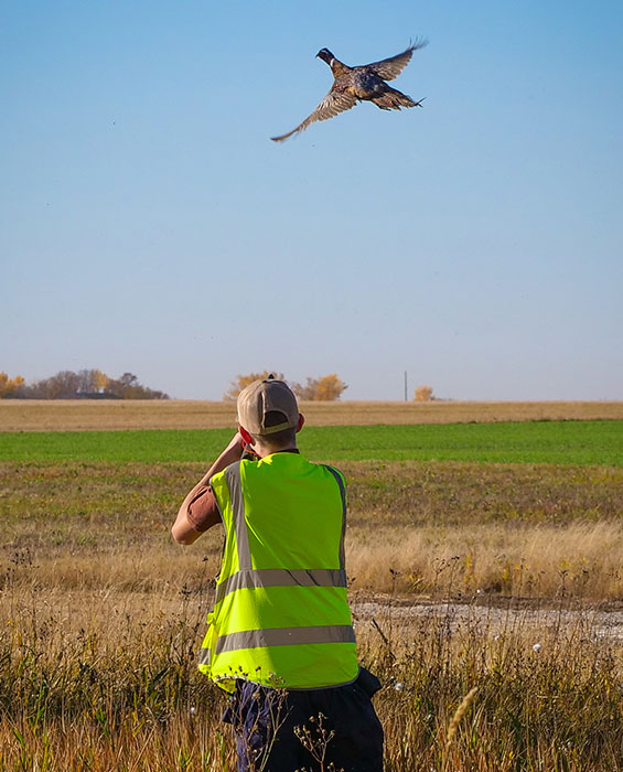 Game Bird Hunt Site for 2027 Taber Pheasant Festival