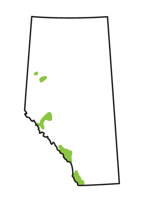 Map of alberta of the location where you would find a long-toed salamander