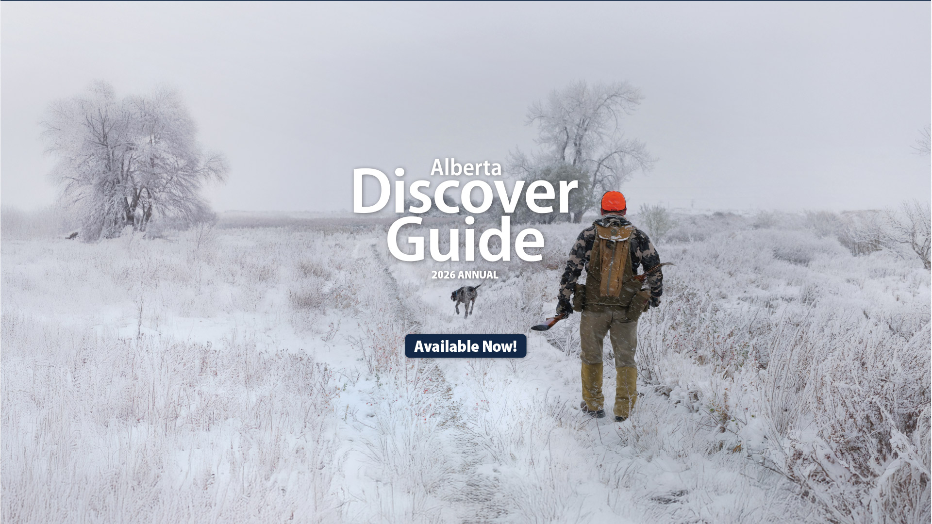 Discover Guide Front Page with a hunter and their dog walking on a snowy path