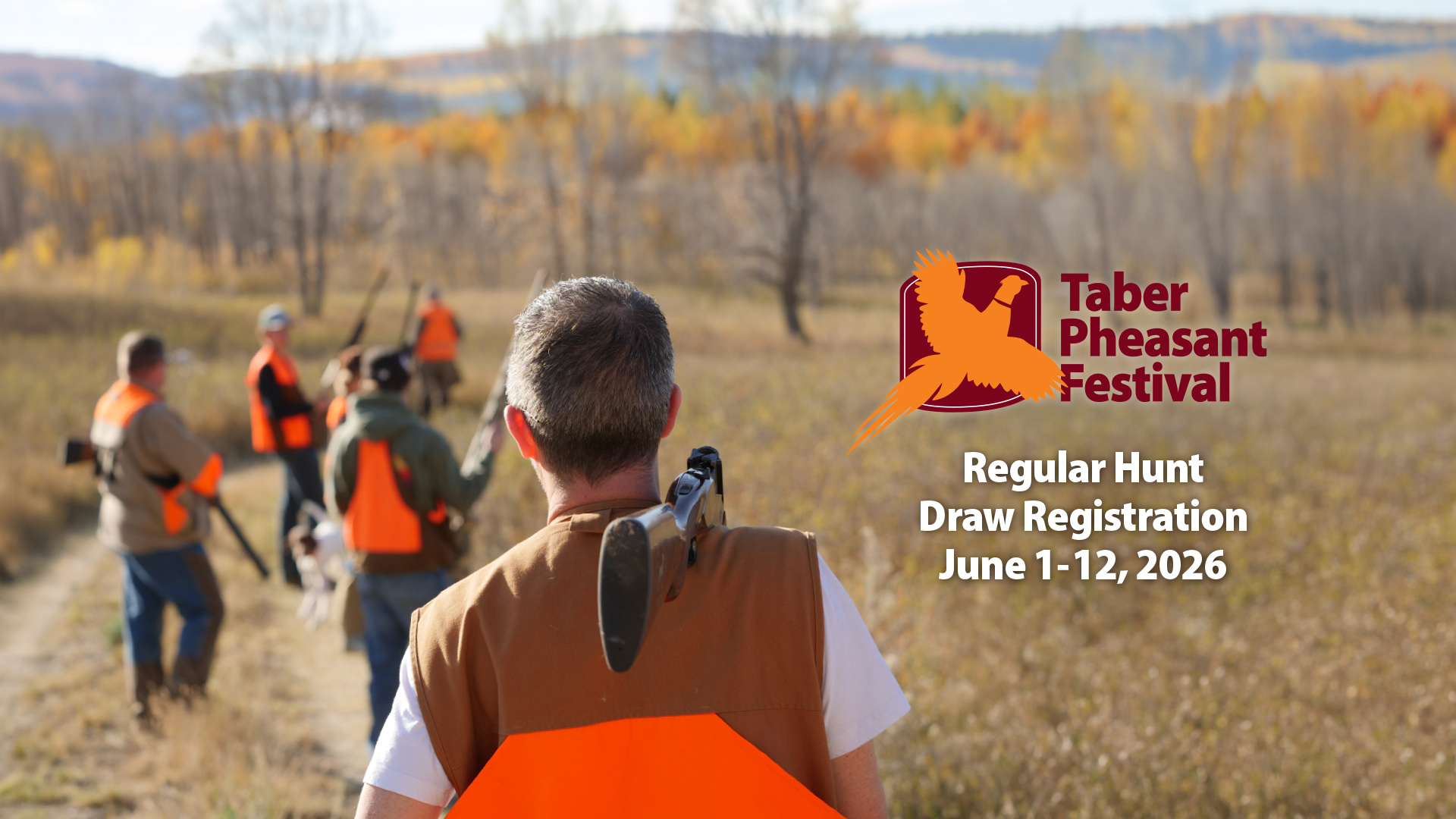 2026 Taber Pheasant Festival Regular Hunts Announcement