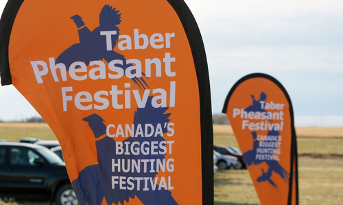 Taber Pheasant Festival