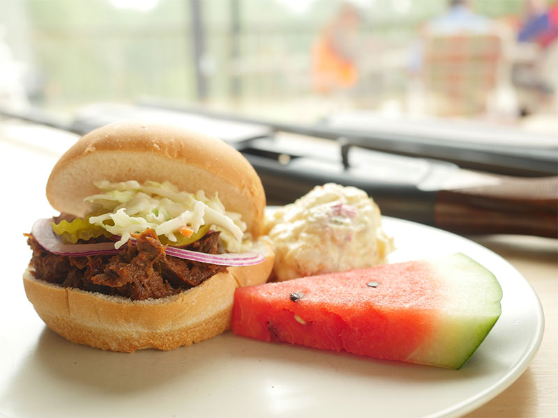 Burger and watermelon and coleslaw on a plate