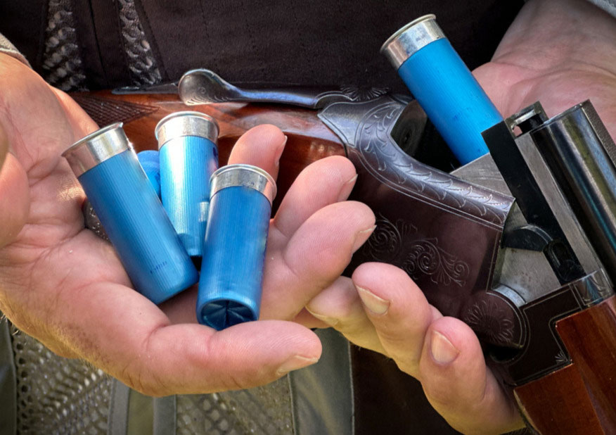 Shotgun shells held in hands