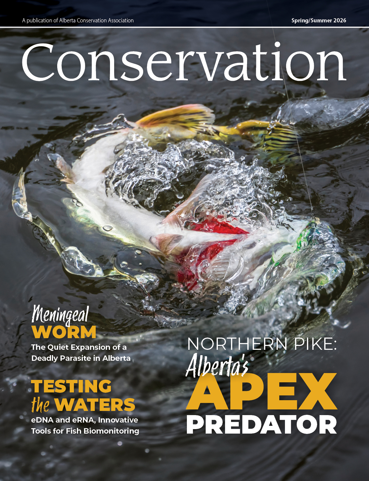 Conservation Magazine Spring/Summer 2026 Cover