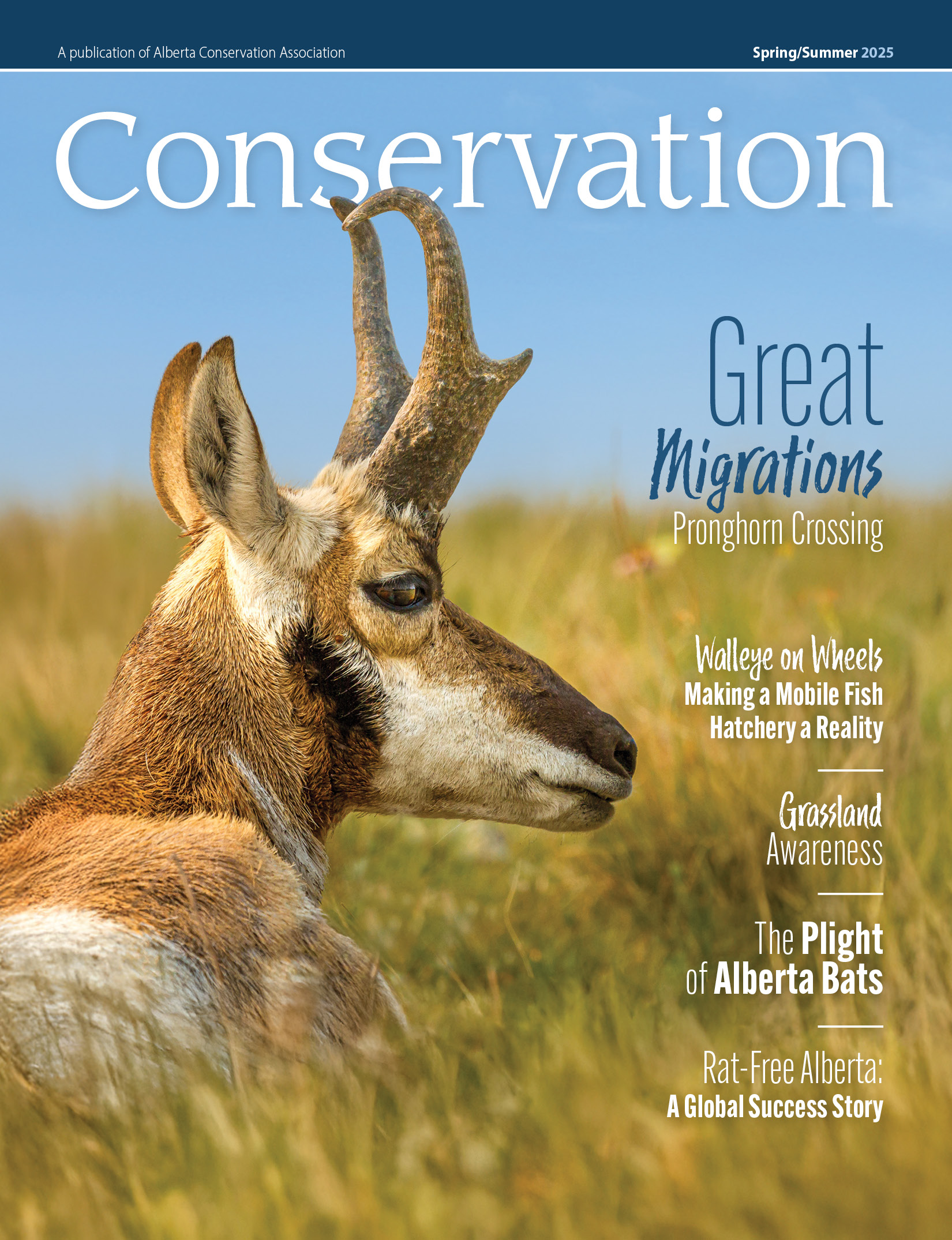 Conservation Magazine Spring/Summer 2025 Cover