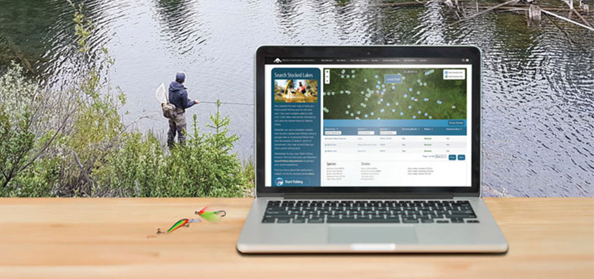 Finding Fish from Your Desktop