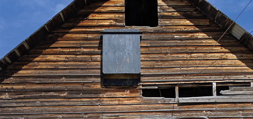 So You Want to Build a Bat House?