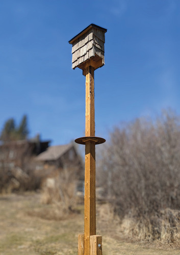 Bat house standing with a blue sky background