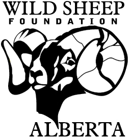 Wild Sheep Foundation Alberta Logo