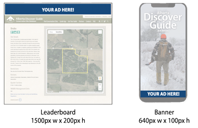 Discover Guide Digital Advertising Sizes