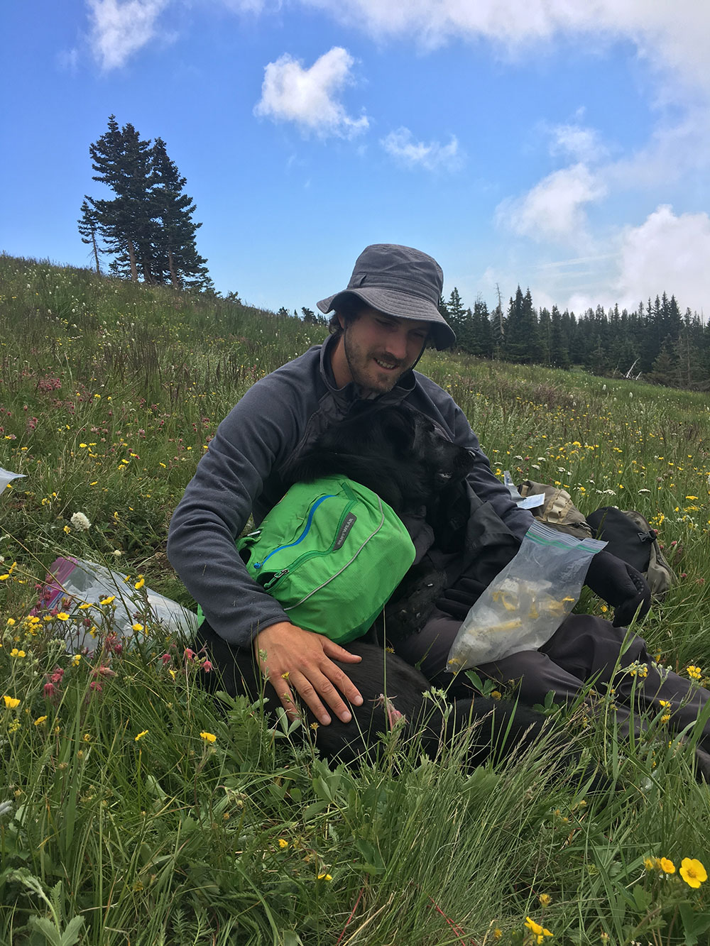 <p>Climate change drives genetic and species diversity change in the alpine tundra of the Rocky Mountains</p>