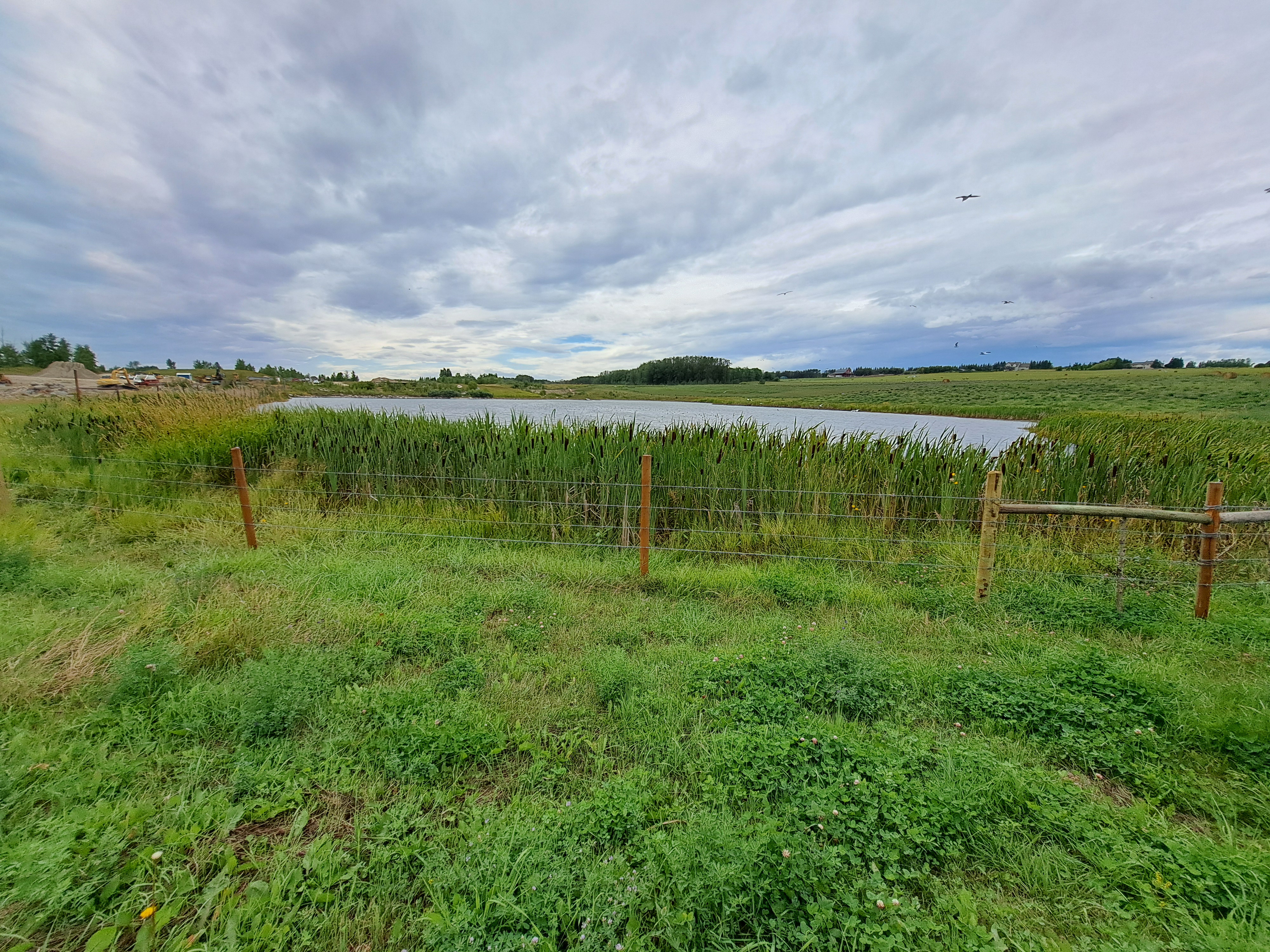 <p>Wildlife and Native Habitat Enhancement in Red Deer County and Lacombe County via ALUS (2024)</p>