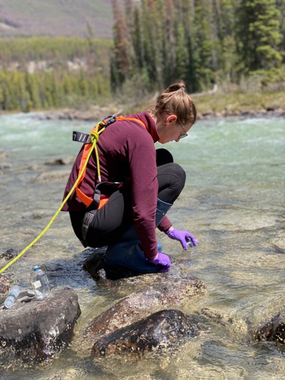 Impacts of rapid glacial melt on downstream river freshwater quality and food webs in Banff and Jasper National Parks