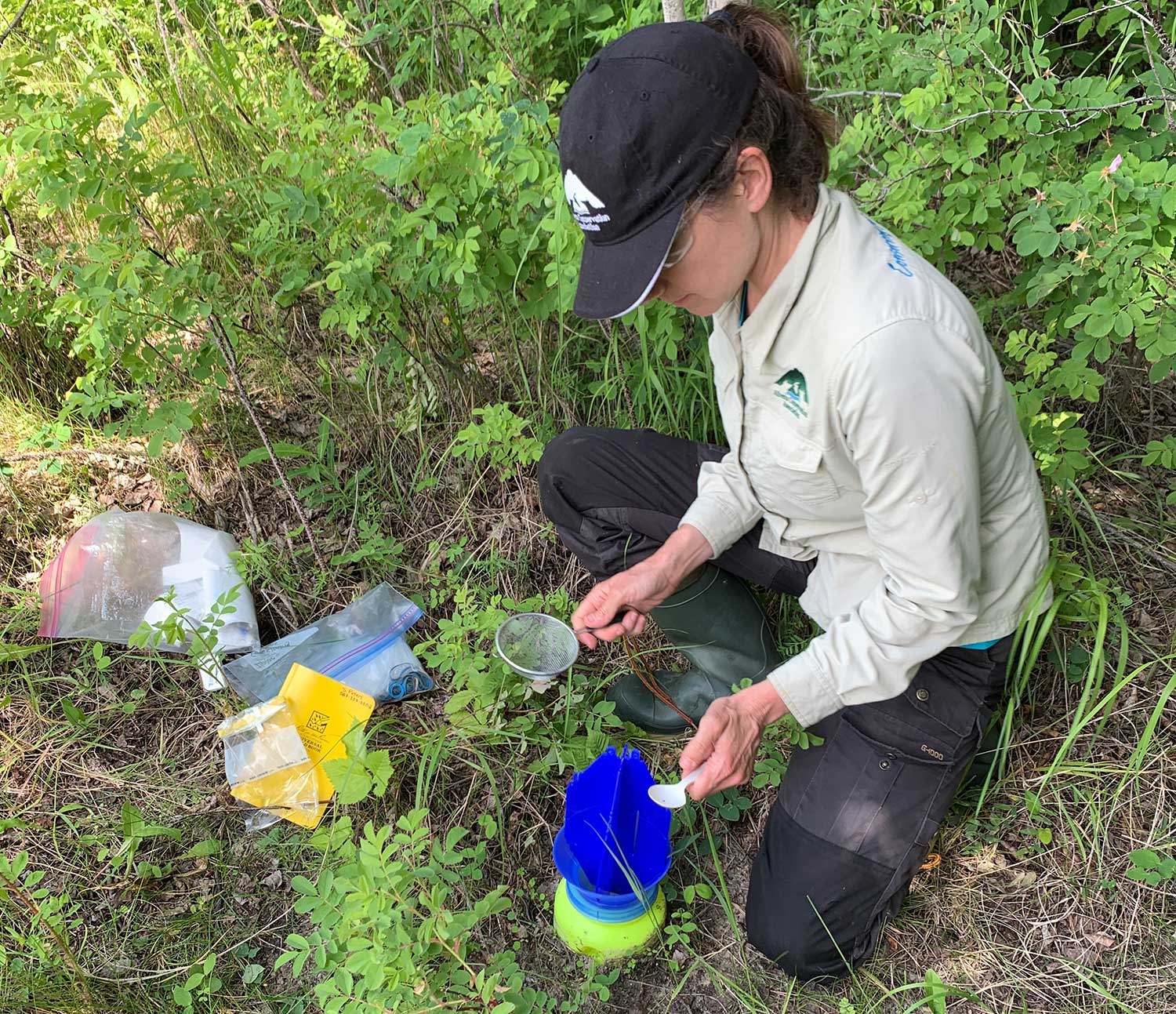 Biologist performing tests out in the bush