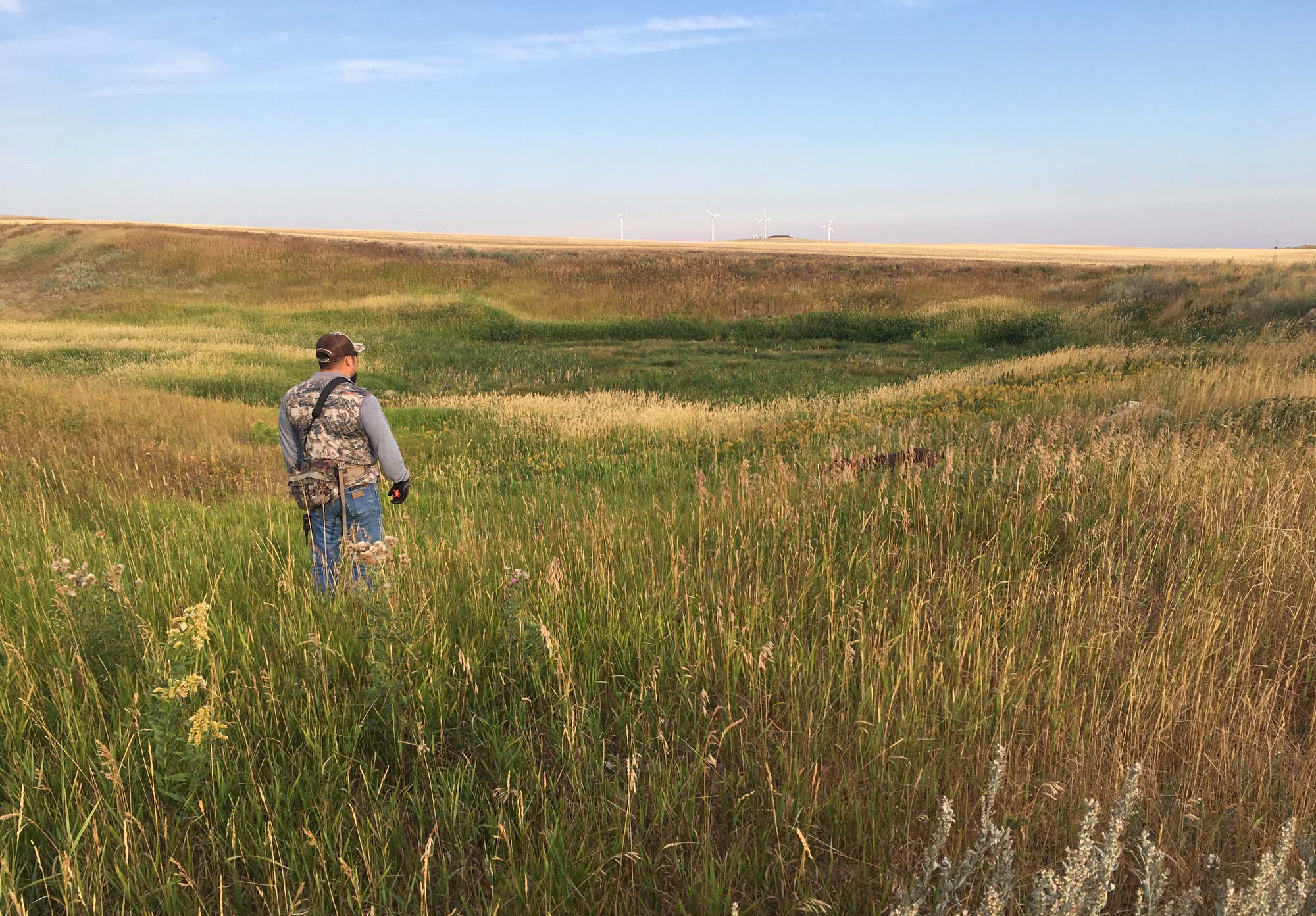 Man standing out in a pasture looking at the horizon