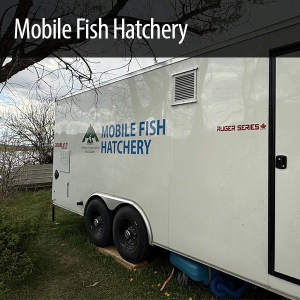 Mobile Fish Hatchery trailer